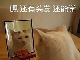 书单