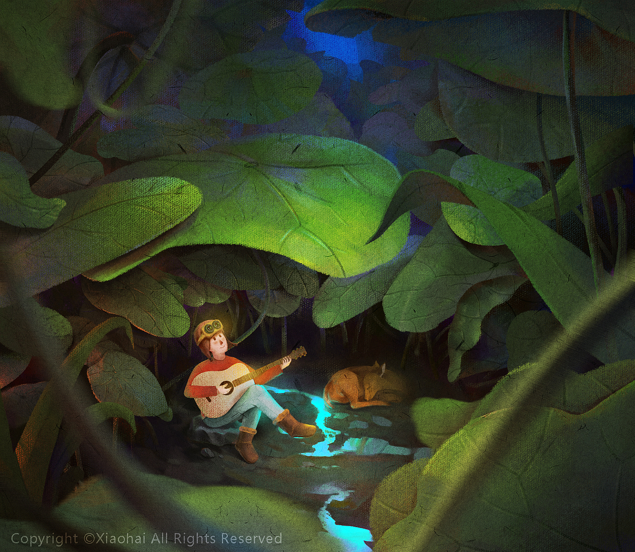 森林里的小精灵