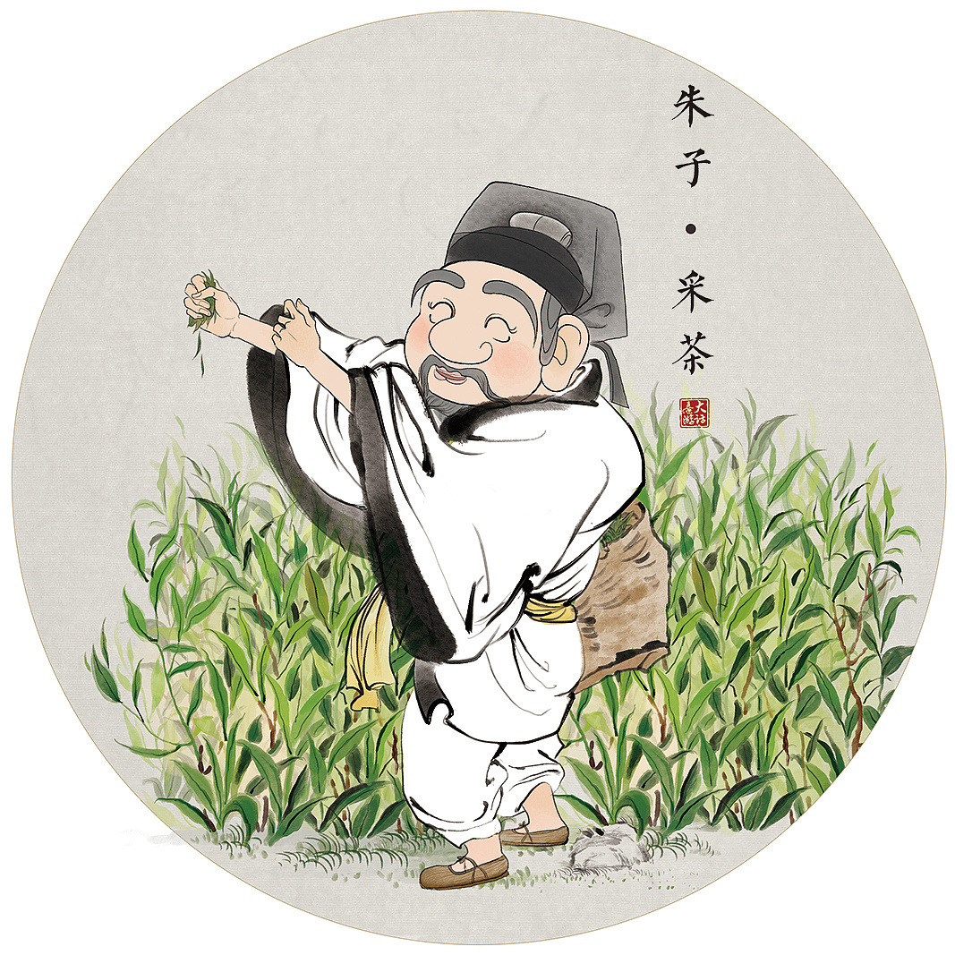 白茶制作过程插画