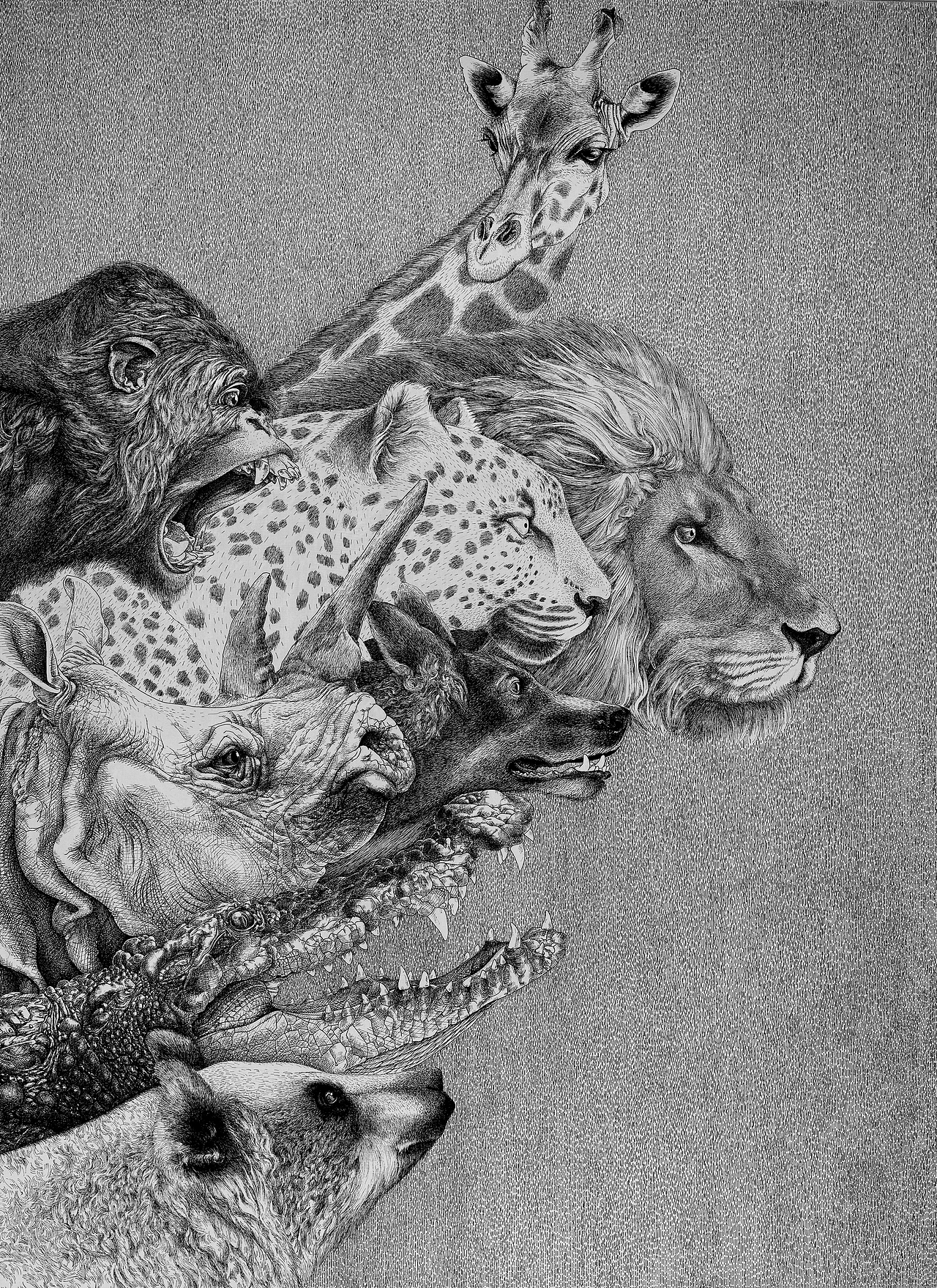 兽|纯艺术|绘画|甲一设计66_原创作品-站酷(zcool)