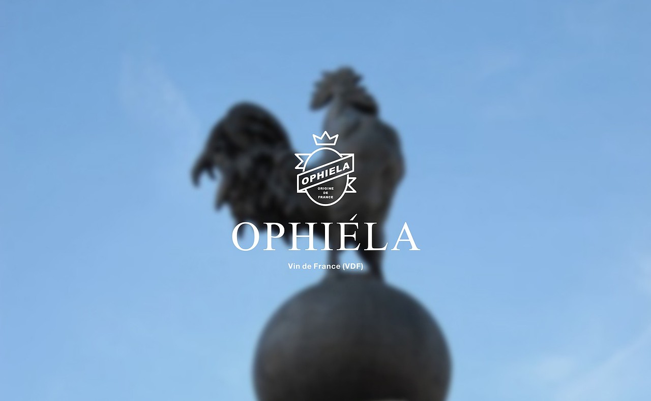 欧菲拉葡萄酒（图ZMTE2NzA3Mzg0） - 包装 - 站酷设计师大家创库原创素材 - 站酷ZCOOL