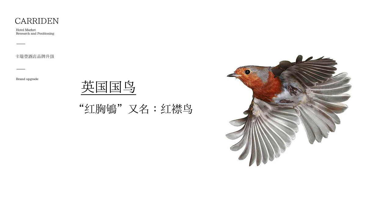 【卡瑞登酒店】品牌全案设计开发（图ZMTYxMzc2NDUy） - 品牌 - 站酷设计师活着就是修行原创素材 - 站酷ZCOOL