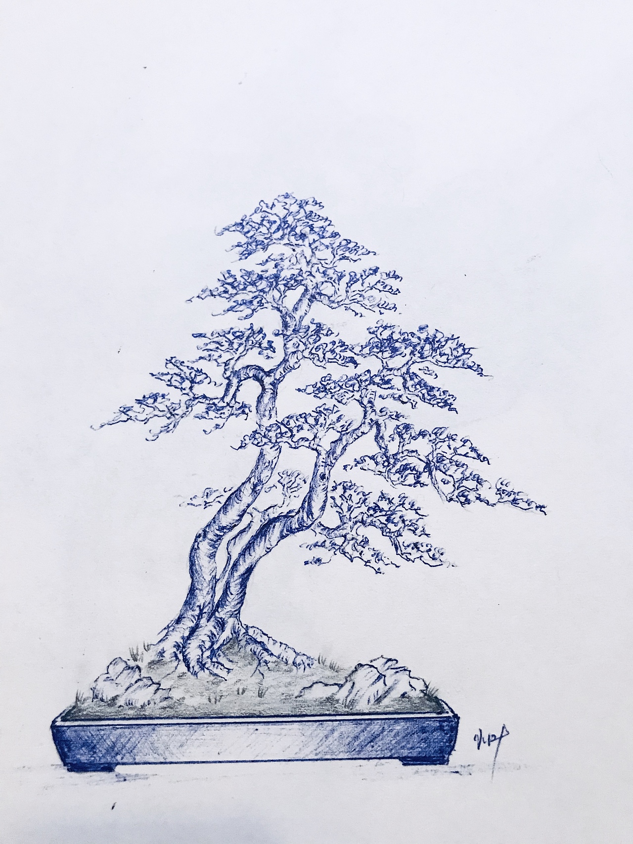 手绘盆景（图ZMjUzMzMxOTk2） - 绘画 - 站酷设计师Z75835907原创素材 - 站酷ZCOOL