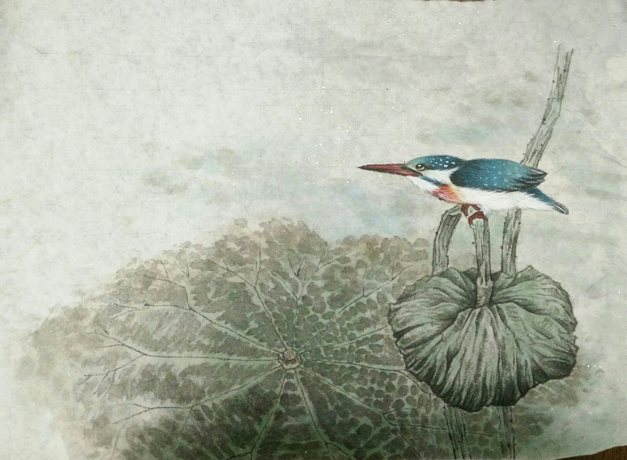 我的工笔花鸟习作（图ZNTg3OTg3MDQ=） - 绘画 - 站酷设计师瓷彩天下原创素材 - 站酷ZCOOL