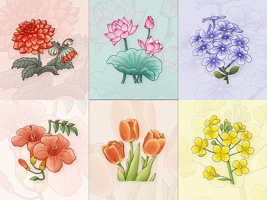 植物/花朵 插画练习
