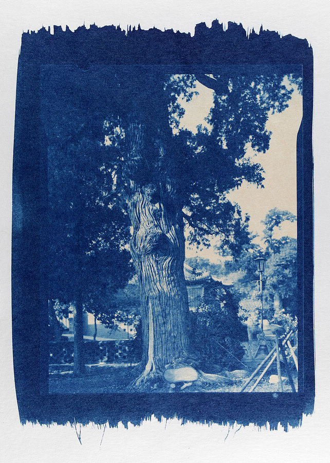 蓝晒印相(1)|摄影|风光摄影|tczpanda - 原创作品 - 站酷 (zcool)