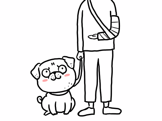 铲屎官的手，断了！