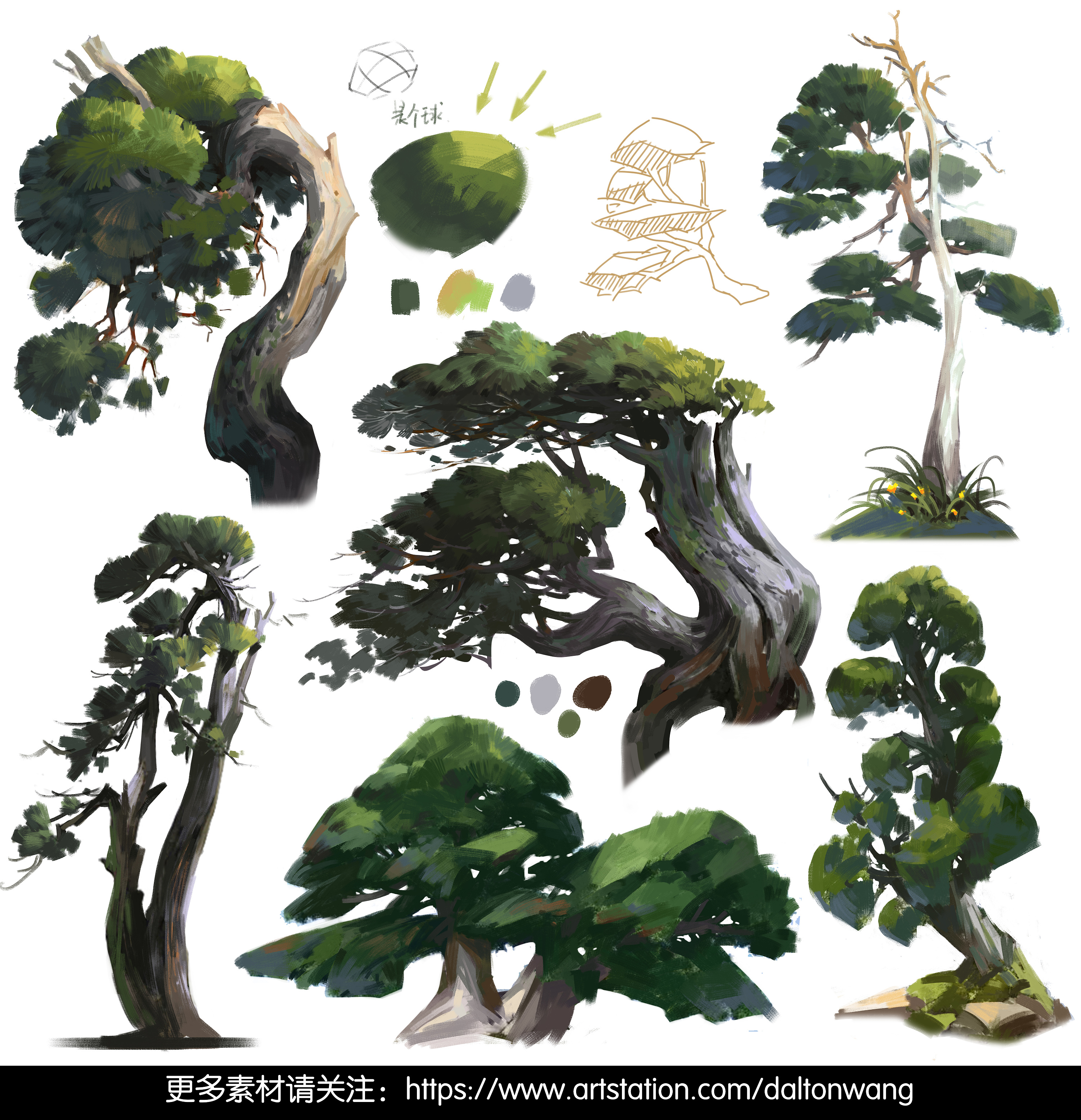 柏树练习|插画|游戏原画|王艺儒_0707 - 原创作品 - 站酷 (zcool)