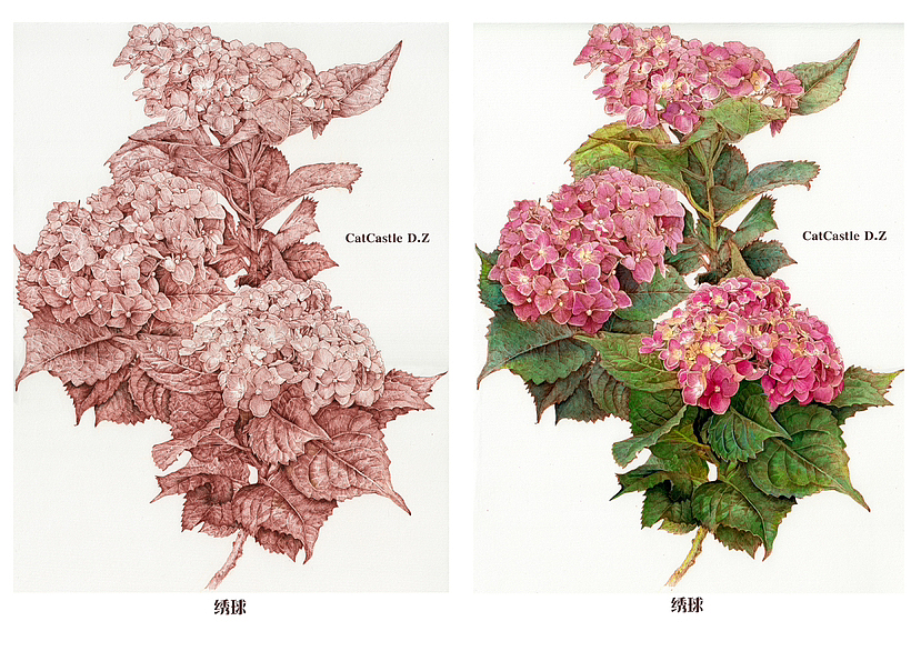 蘸水笔针管笔｜绣球花开（图ZMzUxNjI1OTky） - 艺术插画 - 站酷设计师CatCastleDZ原创素材 - 站酷ZCOOL
