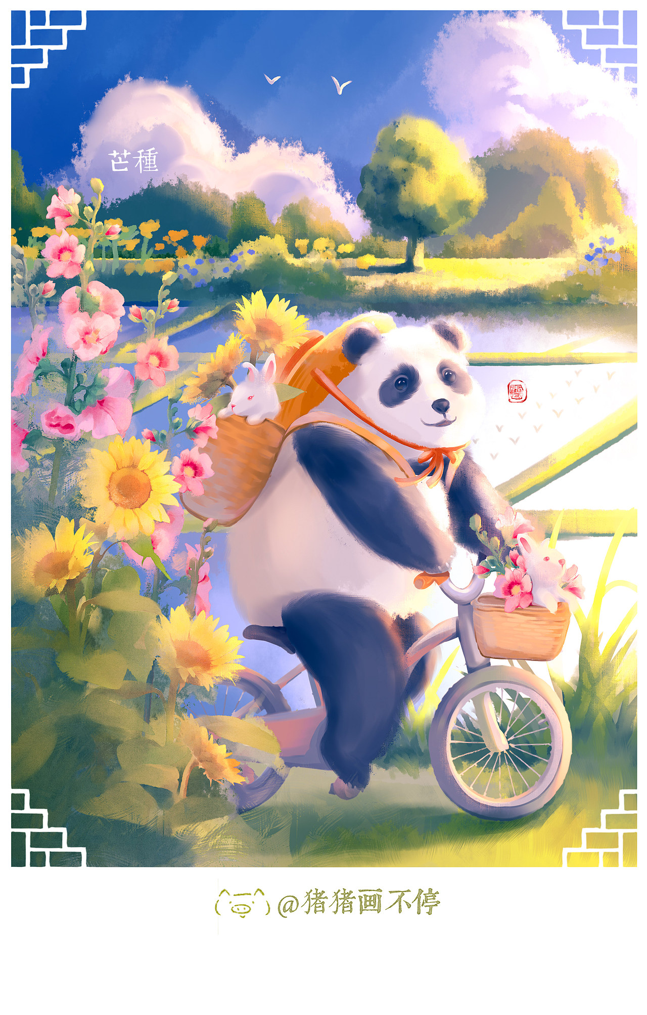 落下的芒种和夏至