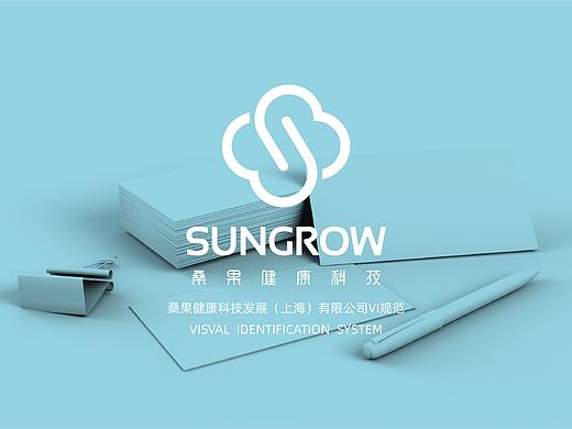 VI设计 · 桑果健康科技/2019
