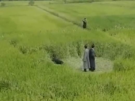 《知否知否应是绿肥红瘦》电视剧片头