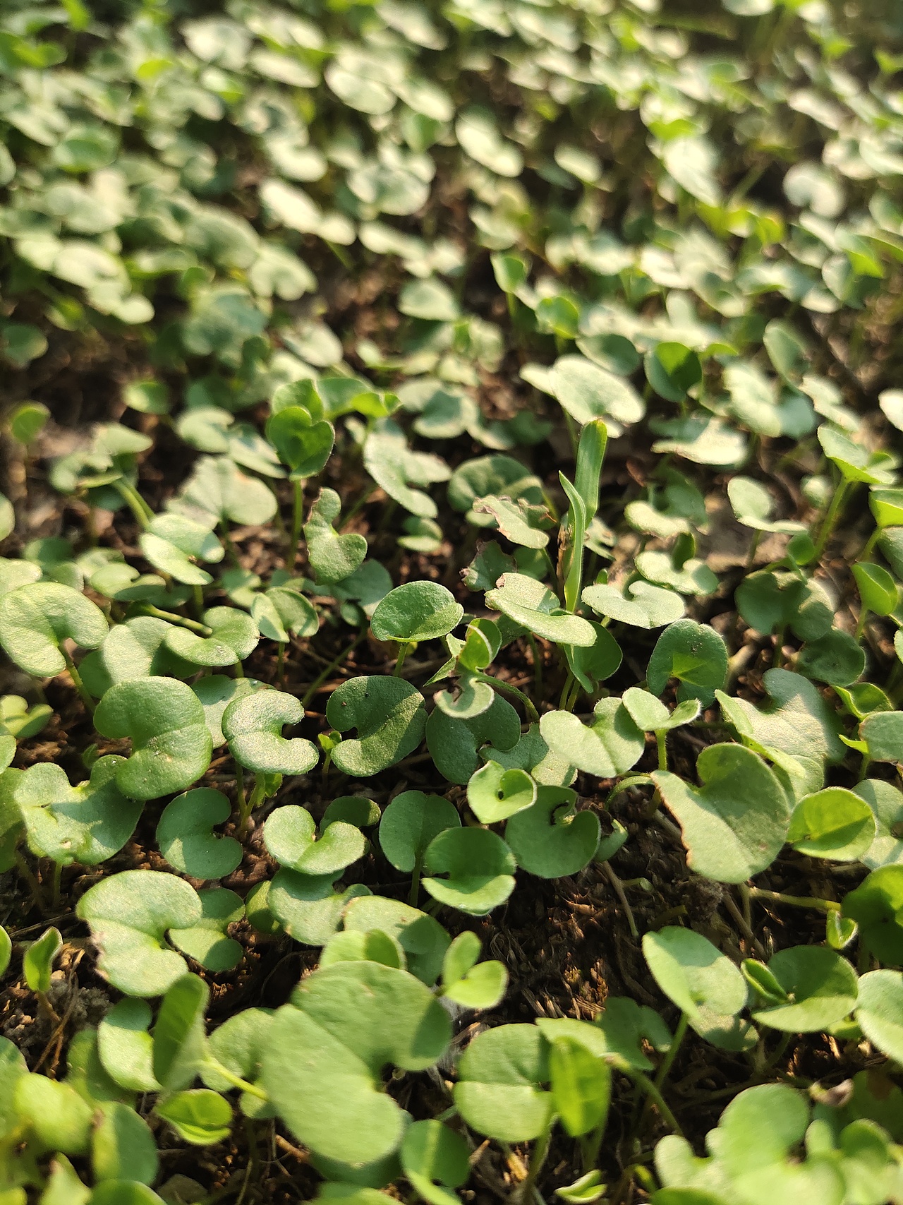 坚持是积累的一个过程