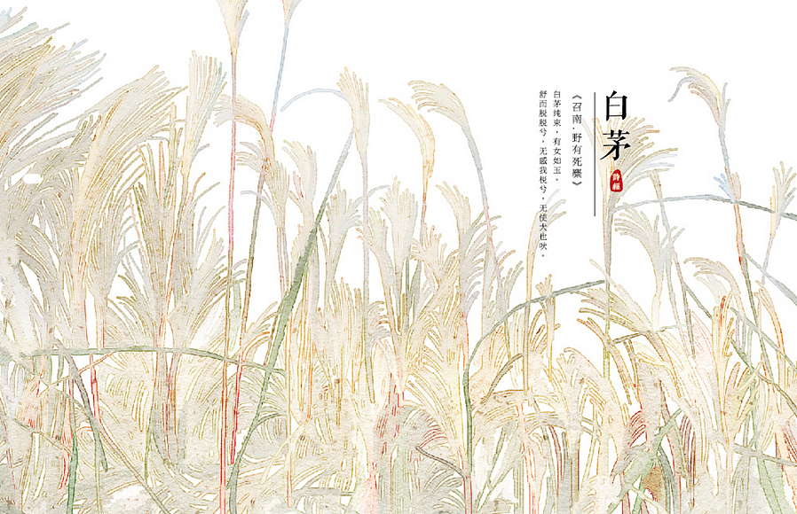 【诗经植物】系列（图ZODk5NTEzNzI=） - 商业插画 - 站酷设计师秋娘原创素材 - 站酷ZCOOL