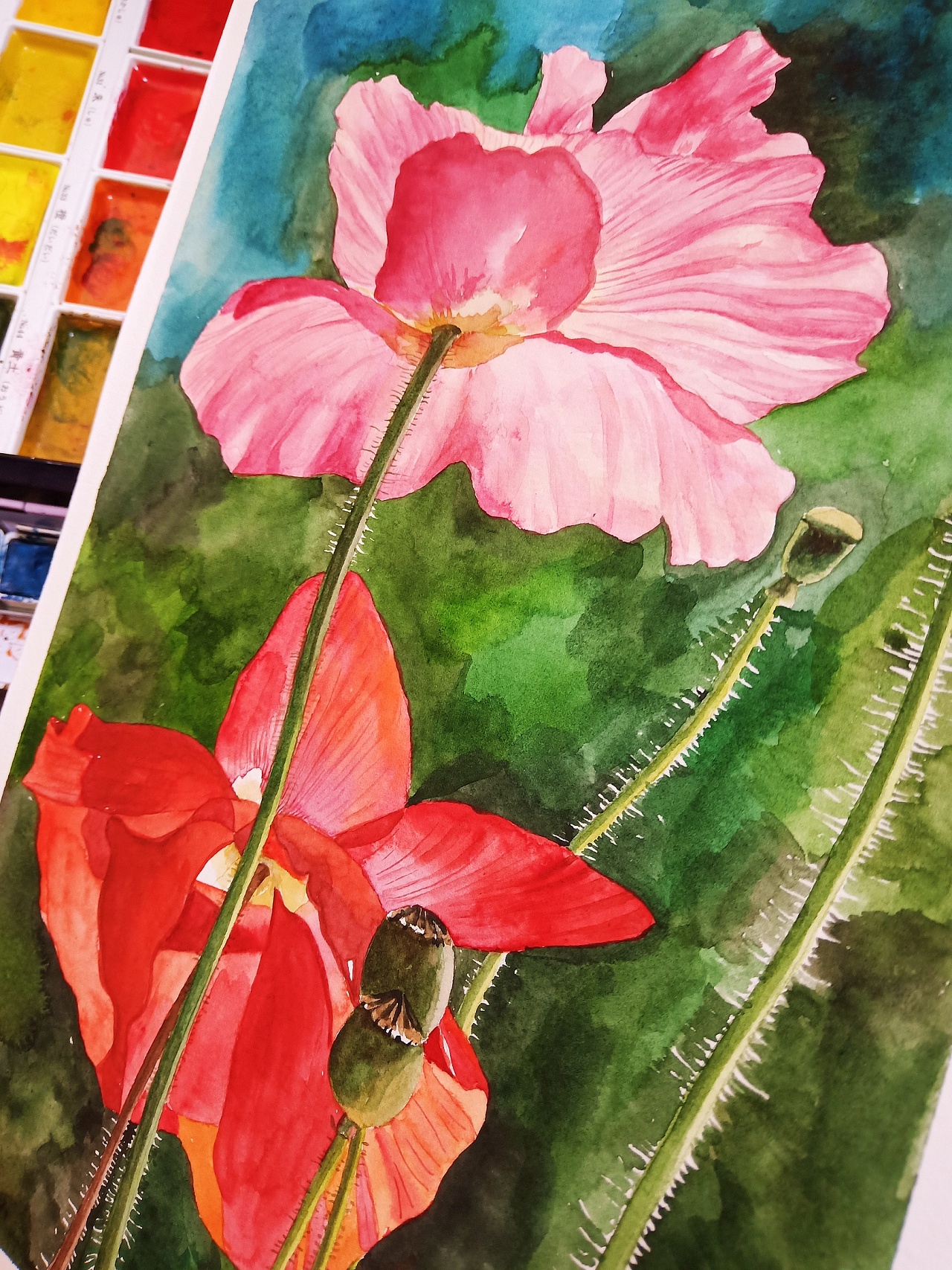 水彩花卉写生|纯艺术|绘画|木子微chris - 原创作品 - 站酷 (zcool)