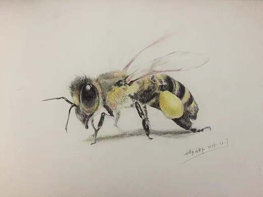 小画