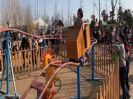 网红坑爹拼爹过山车出租出售放心使用过山车公司