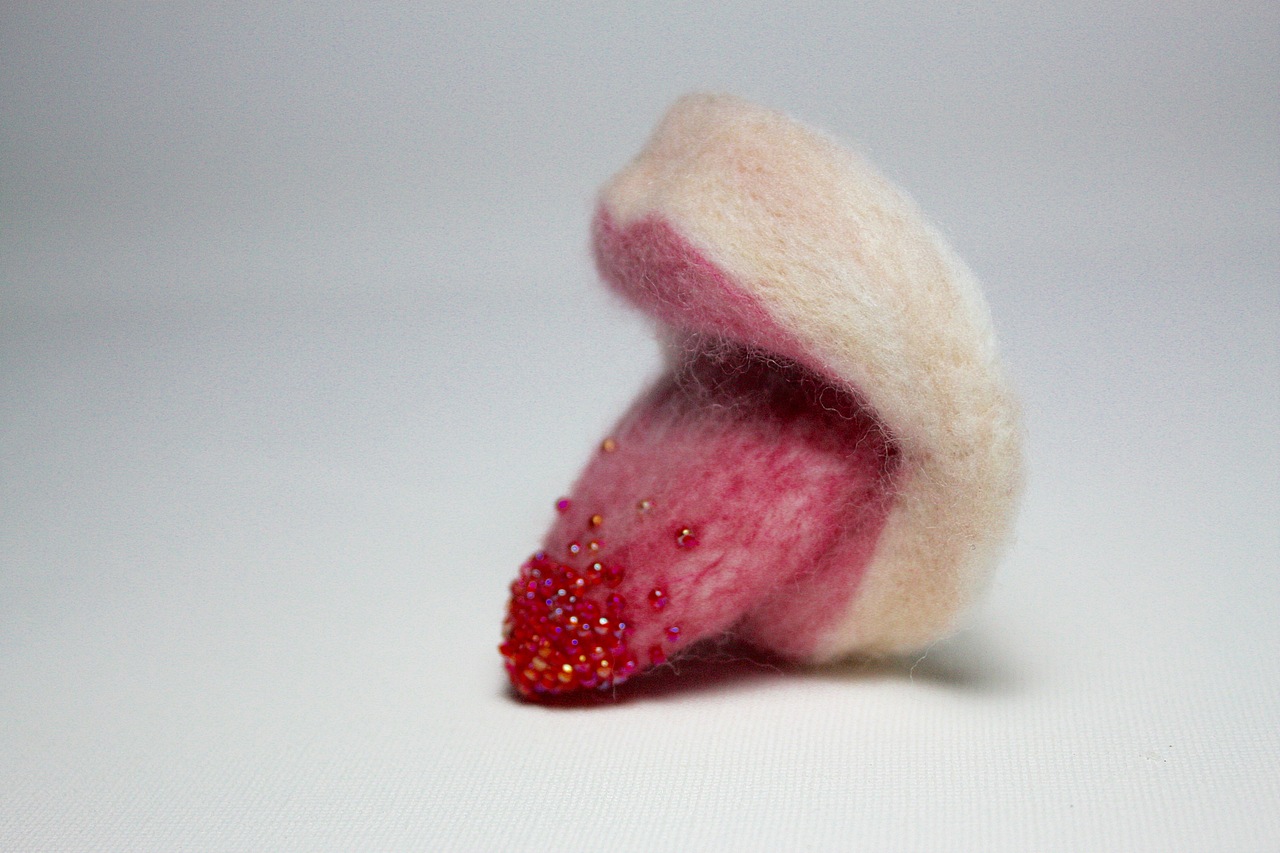 尝尝 羊毛毡胸针（图ZMTMyNTIwMTc2） - 首饰设计 - 站酷设计师艾夜原创素材 - 站酷ZCOOL