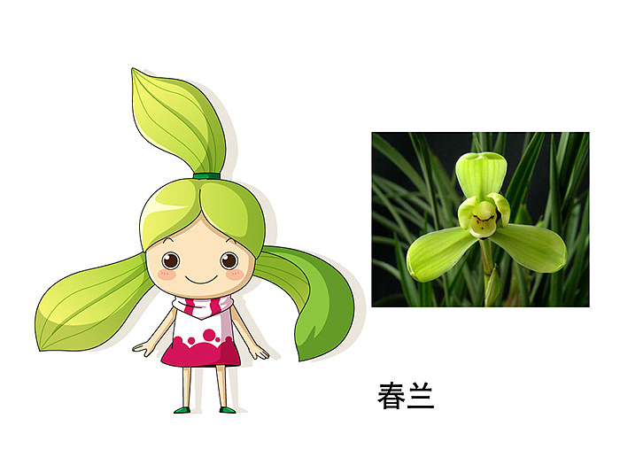 兰花卡通形象