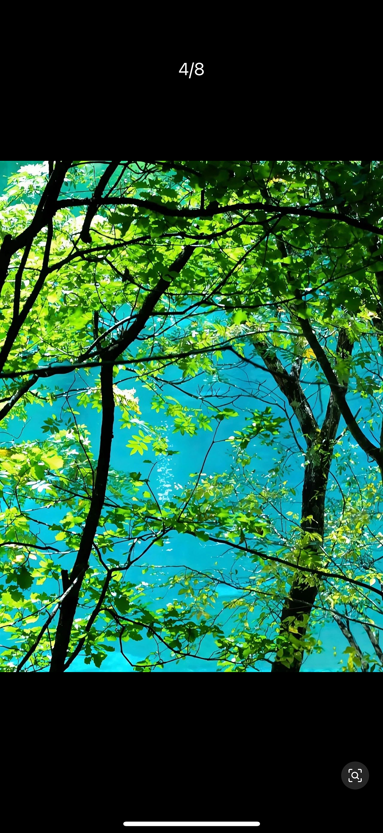 妈呀 这仙境一样的地方完全不用滤镜