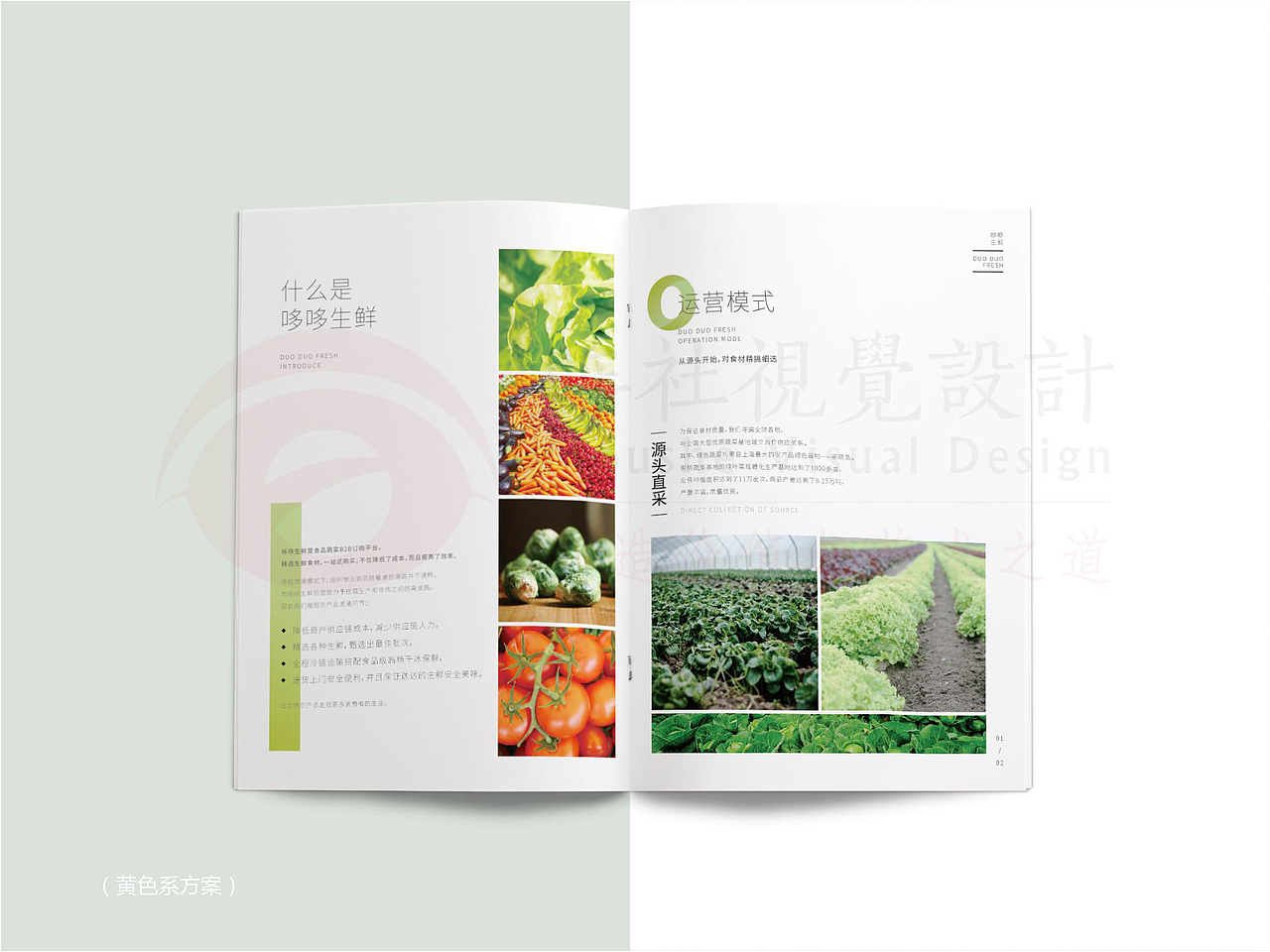 哆哆生鲜 画册（图ZMTA5MzYyNjU2） - 书籍/画册 - 站酷设计师Zayne_Wang原创素材 - 站酷ZCOOL