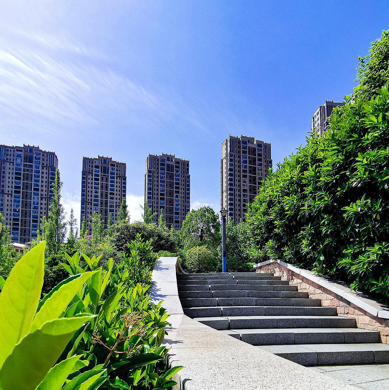 一波手机拍摄的作品（图ZMjE4ODIzMzY4） - 其他摄影 - 站酷设计师sutangren原创素材 - 站酷ZCOOL