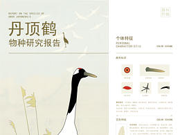 作业