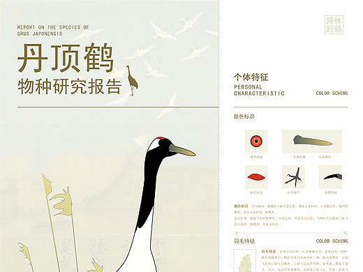信息设计|丹顶鹤研究报告