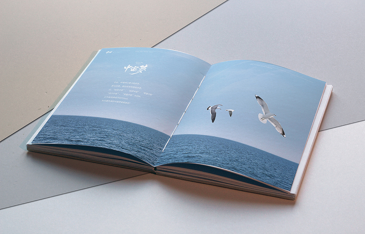 中宙纪念画册设计（图ZMTkxMjIxMTQ4） - 书籍/画册 - 站酷设计师小已er原创素材 - 站酷ZCOOL