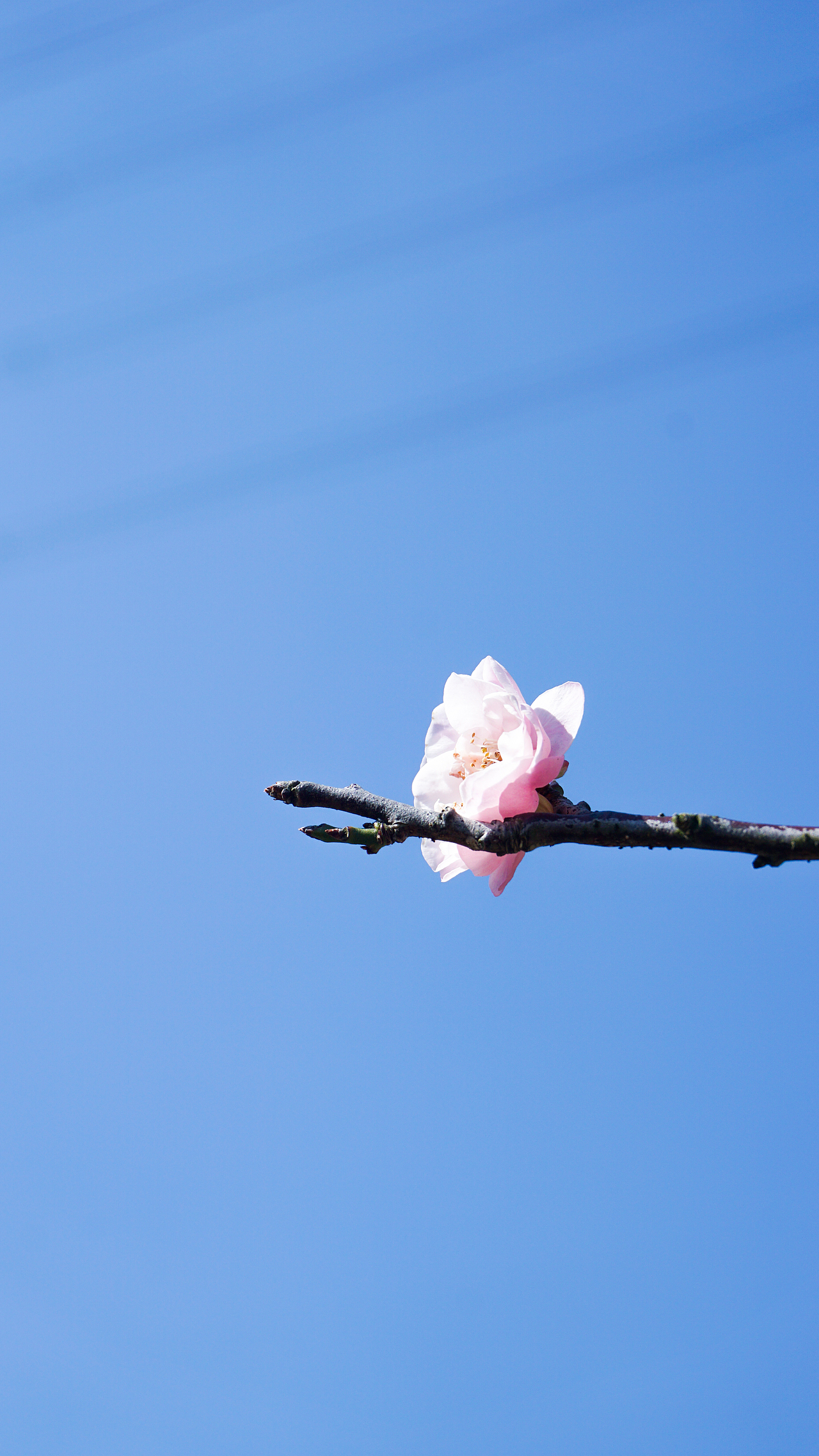 【冬·暖晴天】