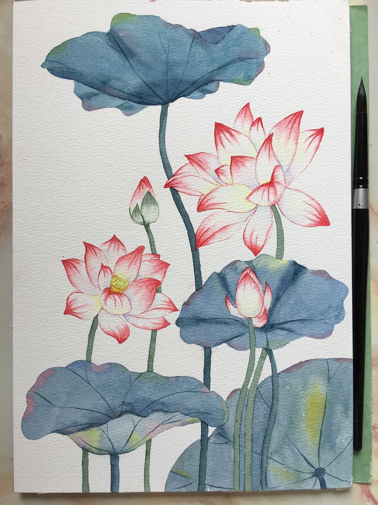 水彩花卉合集（图ZMzE3NjQzMTg4） - 商业插画 - 站酷设计师Z67631737原创素材 - 站酷ZCOOL