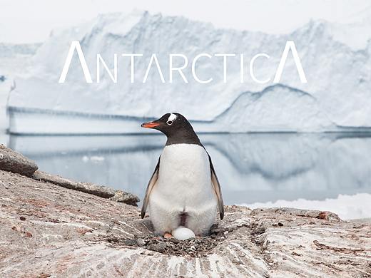 Antarctica 极地往事
