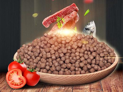 鱼粮 锦鲤鱼粮