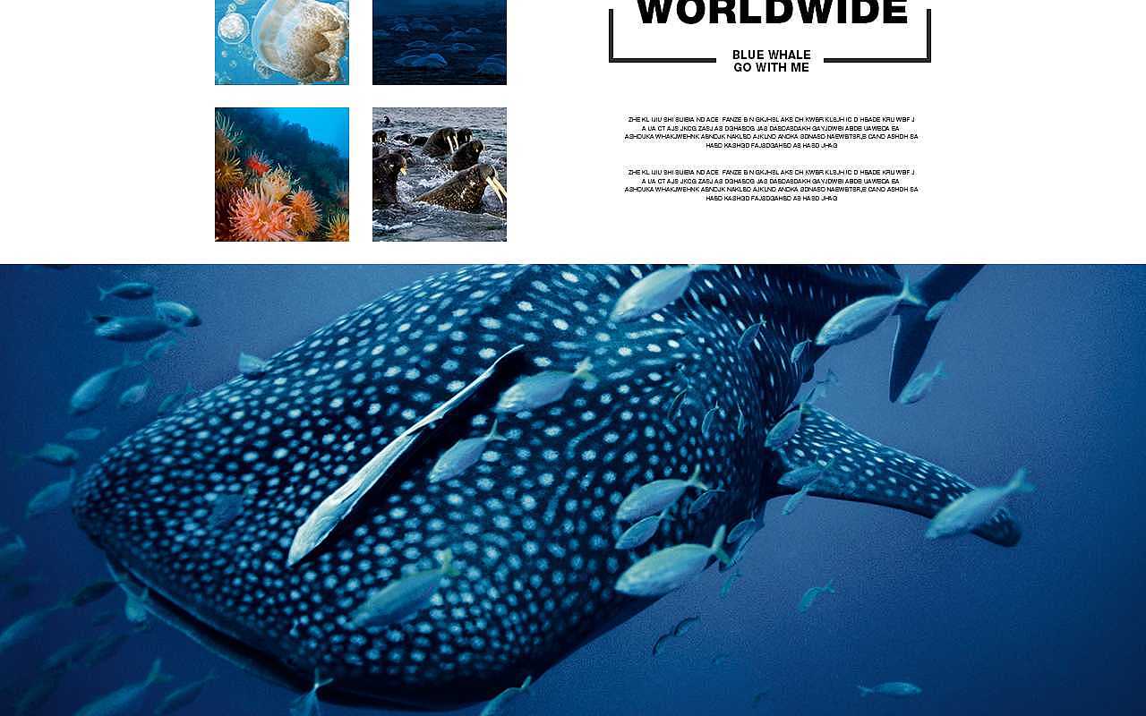 个人作品（图ZMTI5MTkxNzA0） - 其他UI - 站酷设计师听者设计原创素材 - 站酷ZCOOL