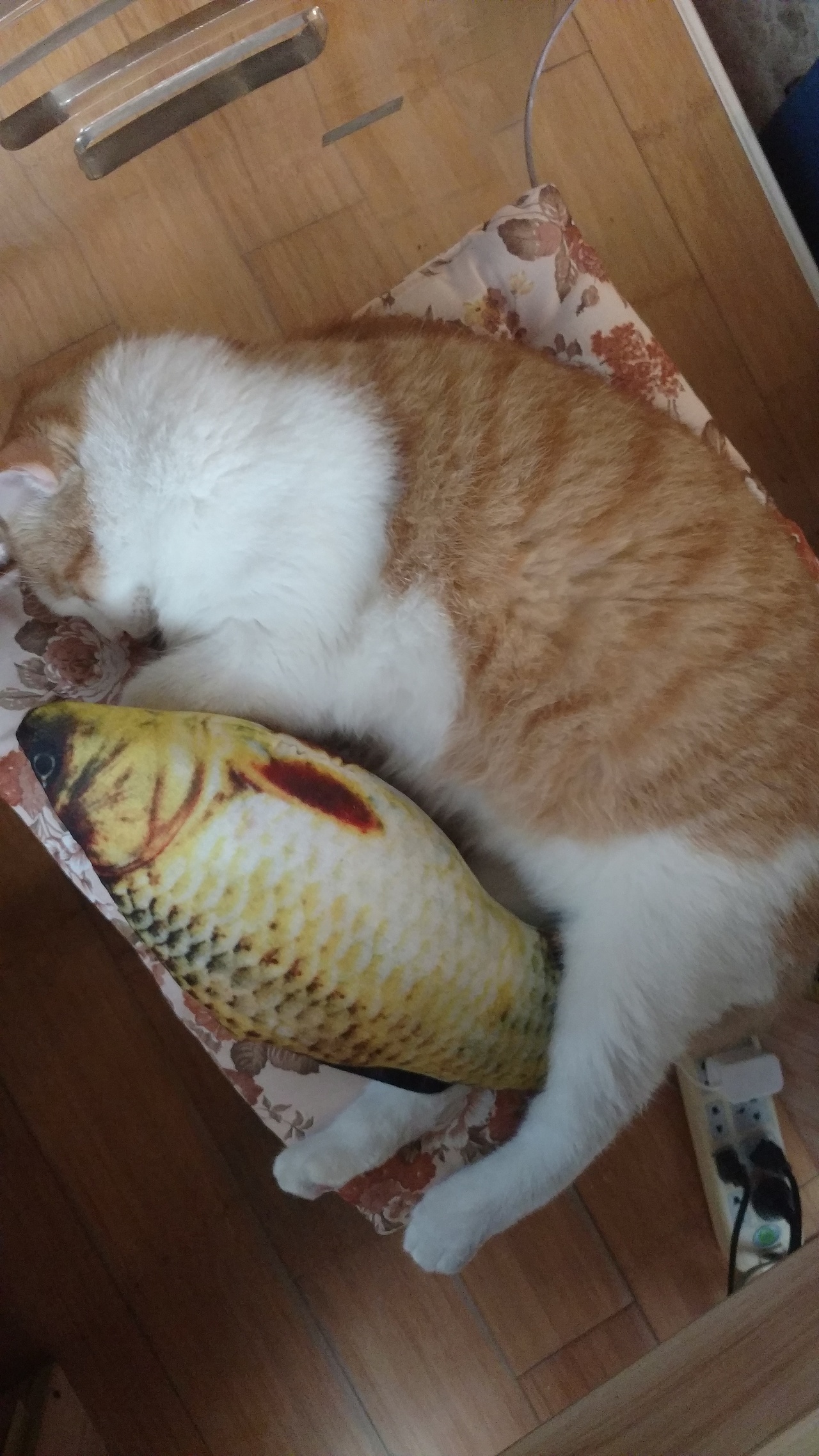 新的一年,还要努力摸鱼哟!