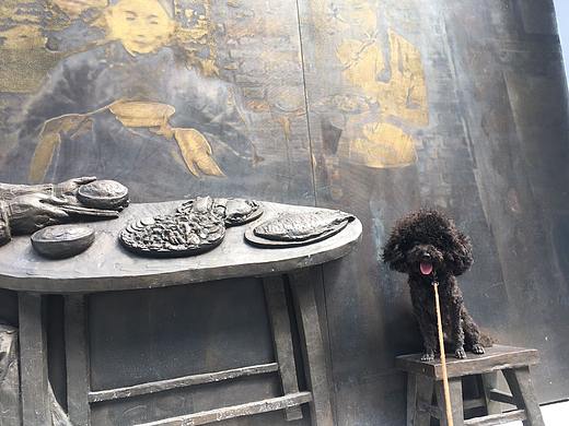 单身狗的日常摆拍