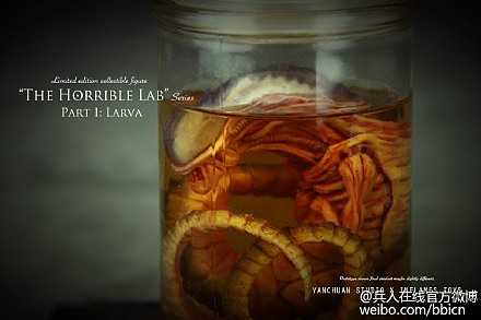 异形幼虫（图ZMzAzOTY3NDQ=） - 手办/模玩 - 站酷设计师言传原创素材 - 站酷ZCOOL