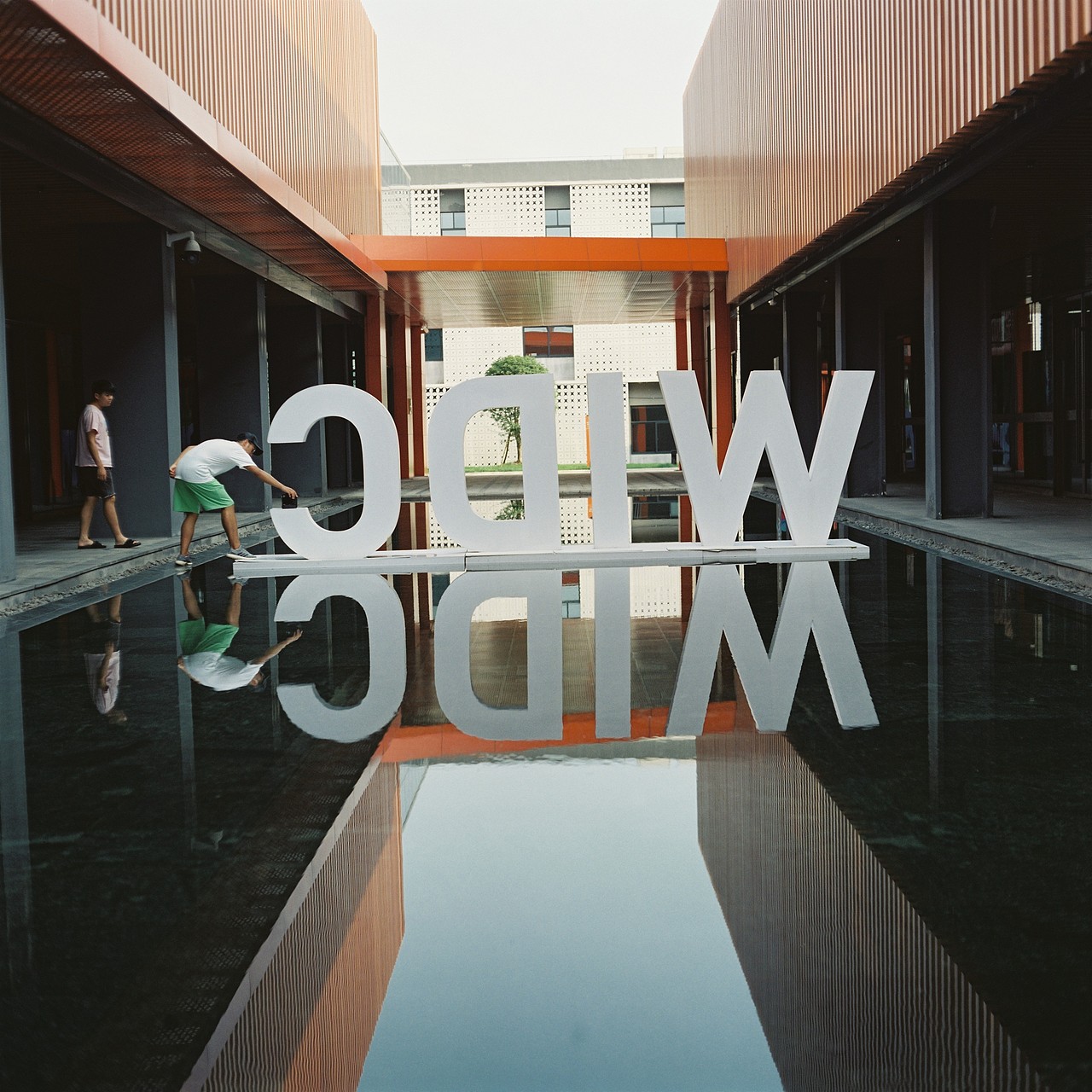 胶卷：飓风外拍