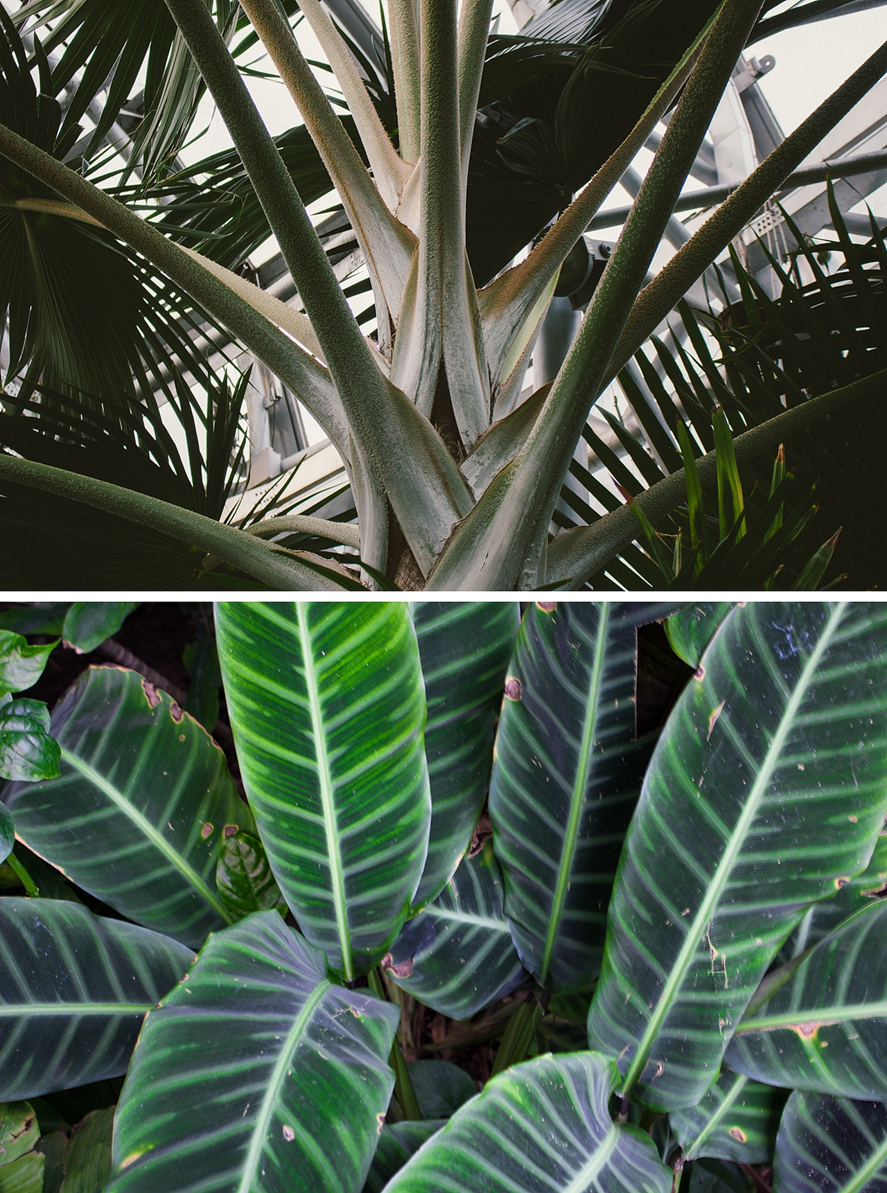 冬天再长,春天终归要来。