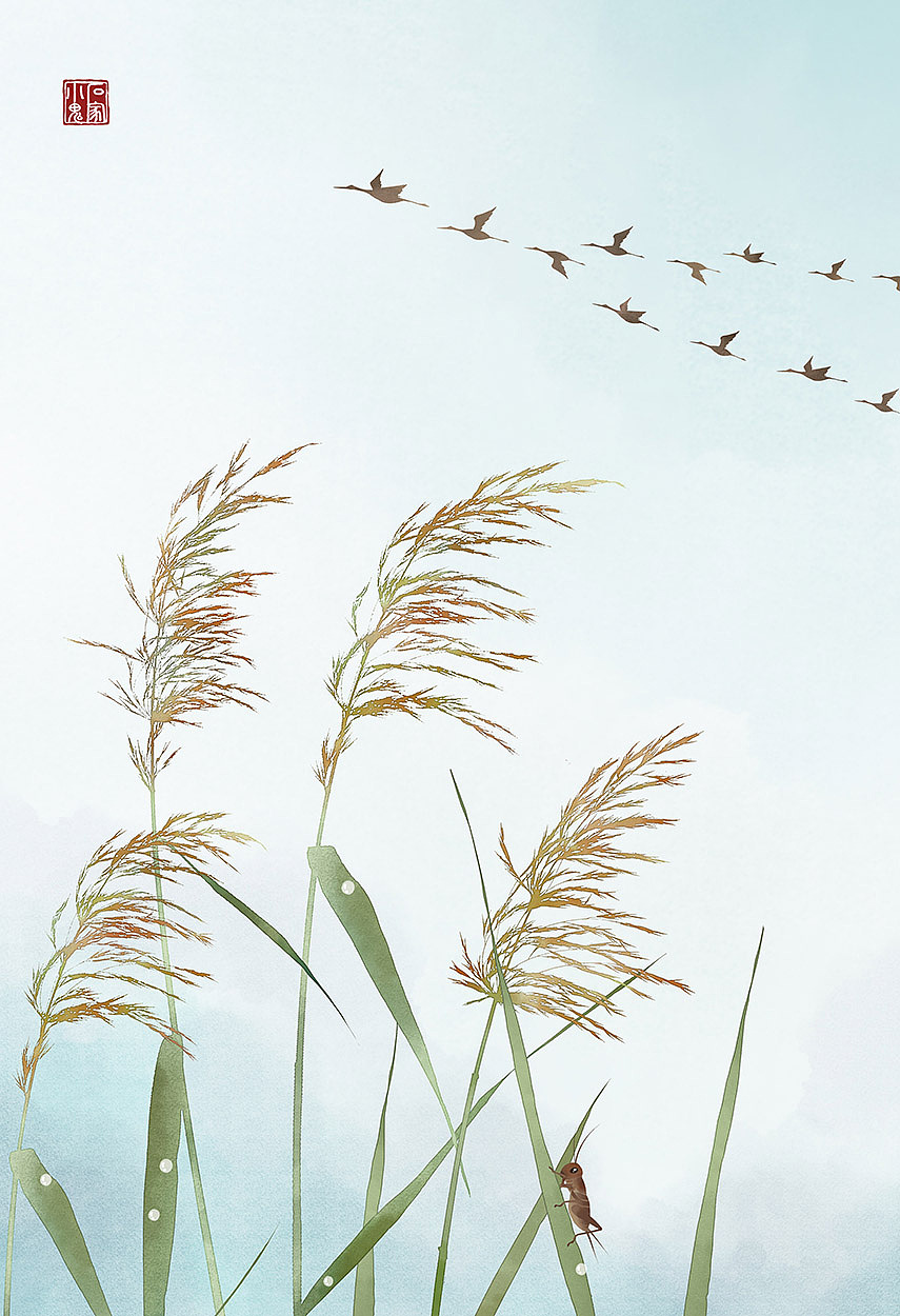 【中国风插画】秋季芦苇