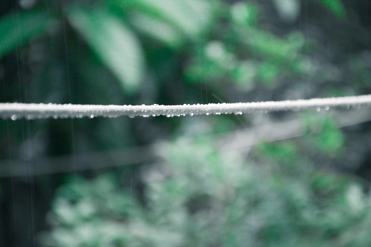 家门口的猫和下雨天（图ZMTE3ODI0MDY4） - 宠物摄影 - 站酷设计师Rihiyo原创素材 - 站酷ZCOOL