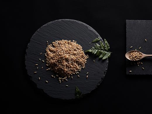 农产品拍摄 画册图 