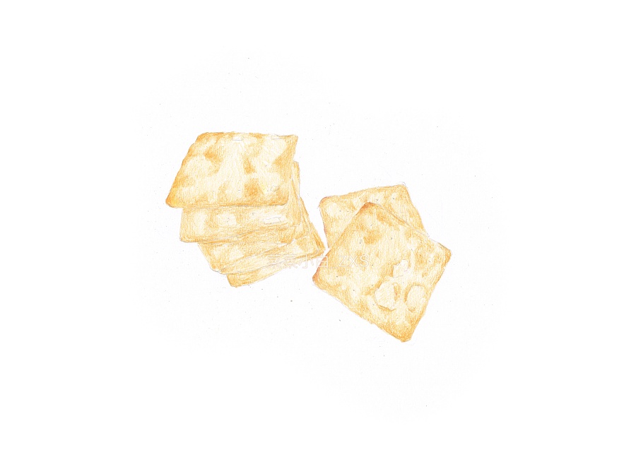 彩铅手绘—葱油饼干