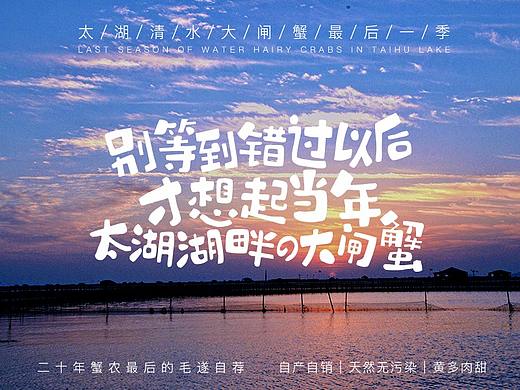 2018大闸蟹海报
