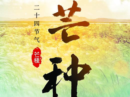 芒种海报