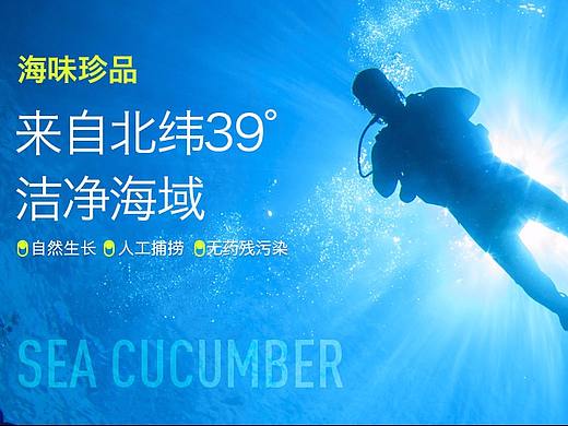 2018年2月-5月部分作品（个人主页-ZMjg1MDM0NTY=） - 电商 - 站酷设计师小贰岁原创素材 - 站酷ZCOOL