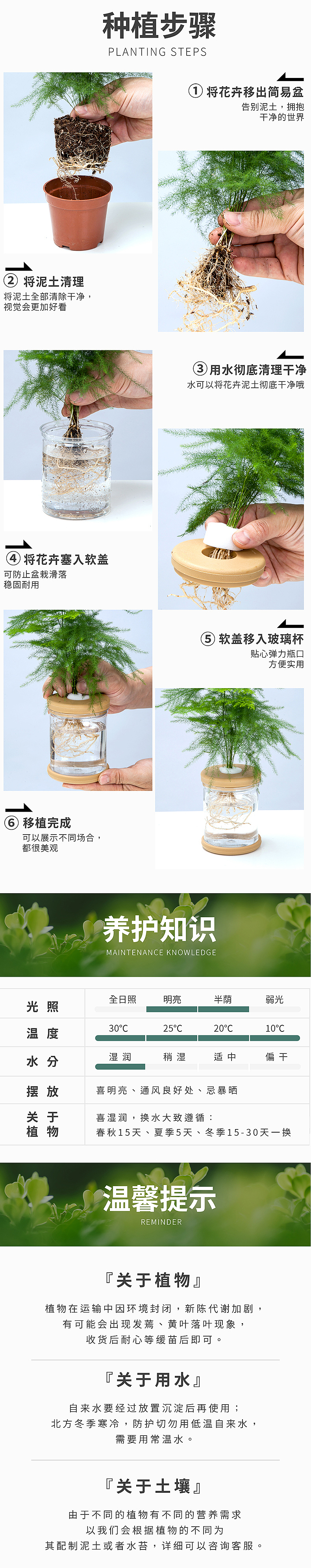 电商摄影设计案例9 绿植主图详情山西太原网店产品摄影（图ZMjM0NDY2MzA4） - 电商 - 站酷设计师青石产品摄影设计原创素材 - 站酷ZCOOL