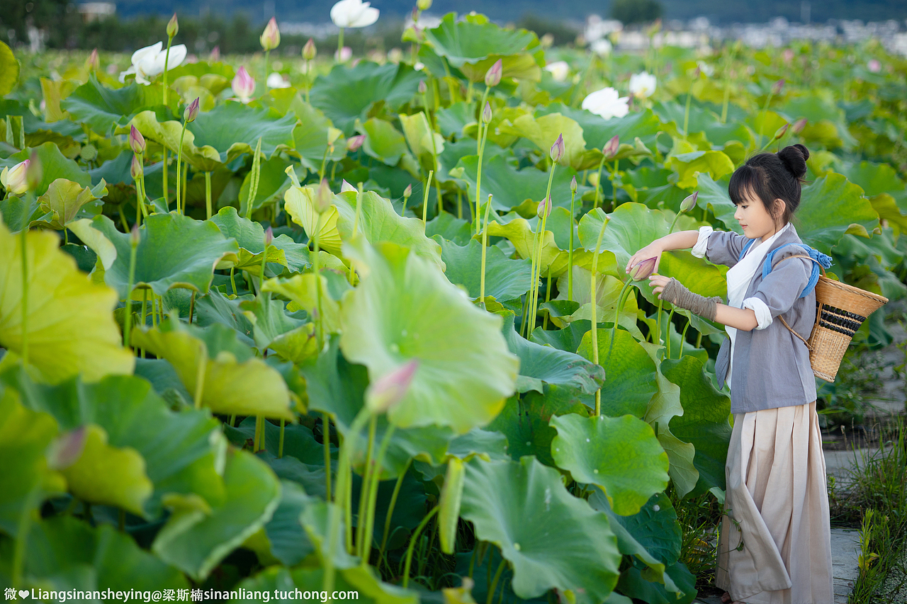 夏荷（图ZMjYyNzk2Njgw） - 人像摄影 - 站酷设计师梁斯楠原创素材 - 站酷ZCOOL