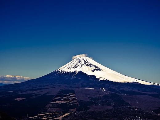 版權(quán)登記（個(gè)人主頁-ZMzQxNDgzOTI=） - 其他 - 站酷設(shè)計(jì)師魚爪網(wǎng)知產(chǎn)原創(chuàng)素材 - 站酷ZCOOL