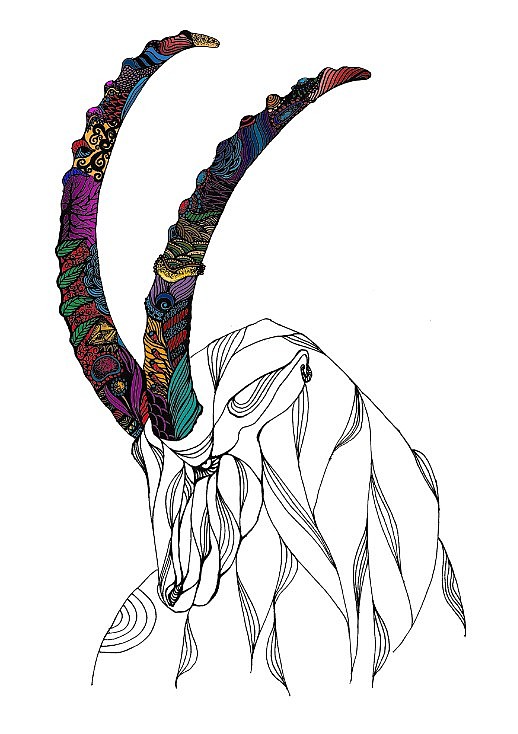 我的慢慢画之《羚羊》